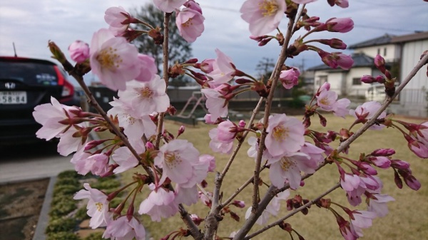 5月体験